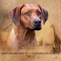 african-jordana-frontpage2